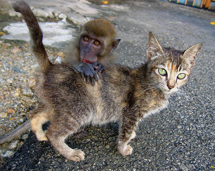 buddies.jpg